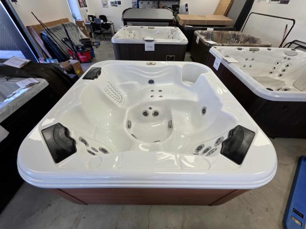 Spa Bullfrog Modèle 362 Reconditionné - Prêt pour la détente! – Image 2
