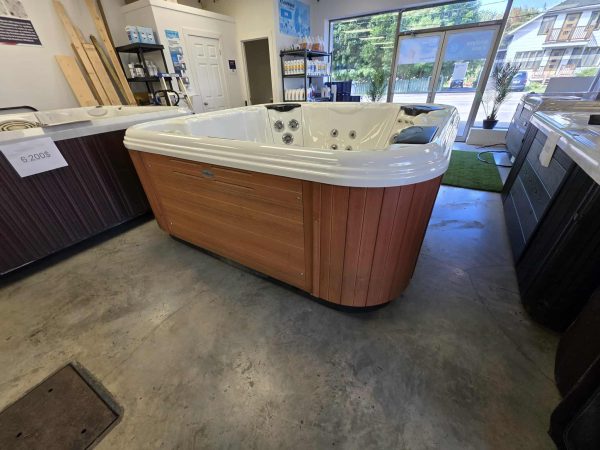 Spa Bullfrog Modèle 362 Reconditionné - Prêt pour la détente! – Image 6