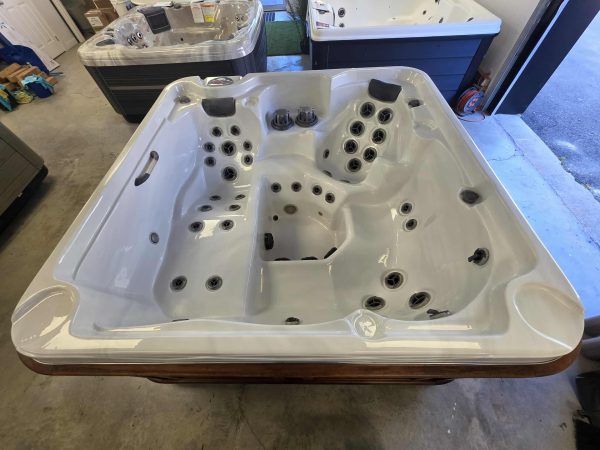 Détente Assurée : Arctic Spa Cub 2011 – Occasion Impeccable! – Image 8
