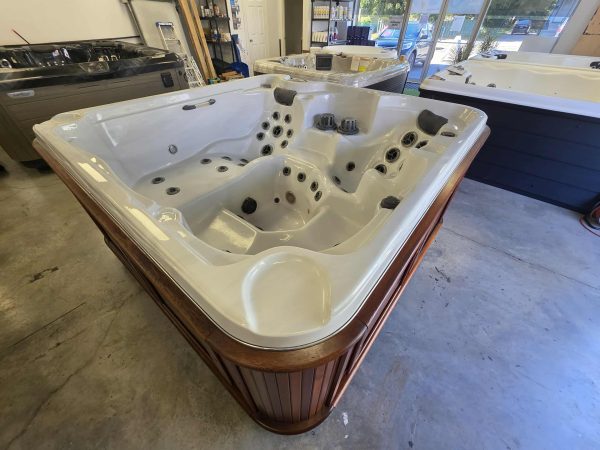 Détente Assurée : Arctic Spa Cub 2011 – Occasion Impeccable! – Image 5