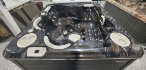 Spa Hydropool Self-Cleaning 495 (2017) – Entièrement reconditionné